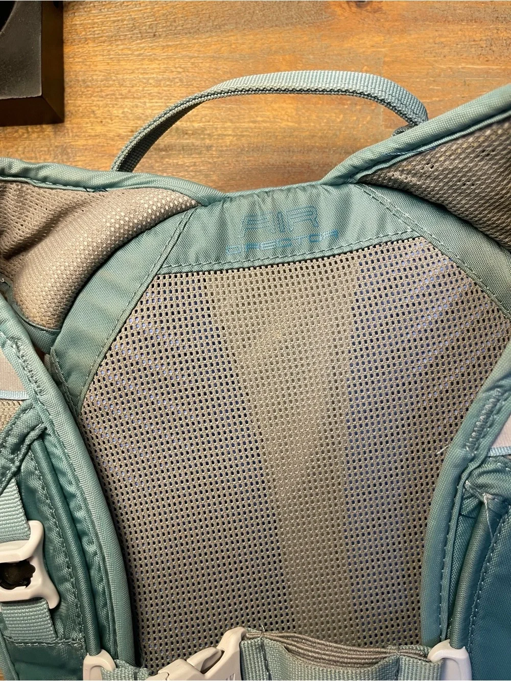 Camelbak Light Green Hydration Backpack with Blue Reservoir